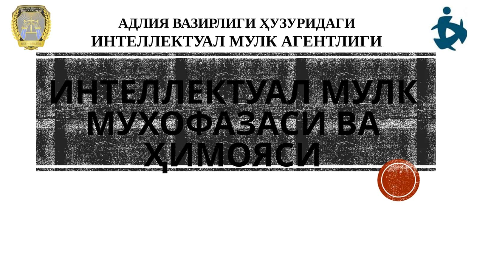 Интеллектуал мулк муҳофазаси
