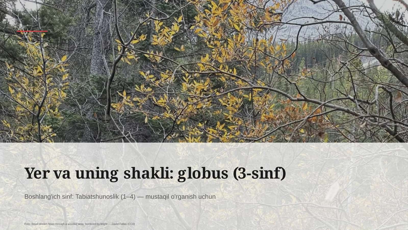 Globus (3-sinf)