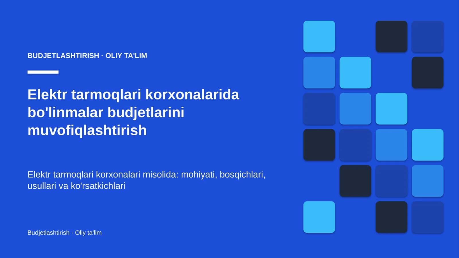 Elektr tarmoqlari korxonalarida bo'linmalar budjetlarini muvofiqlashtirish