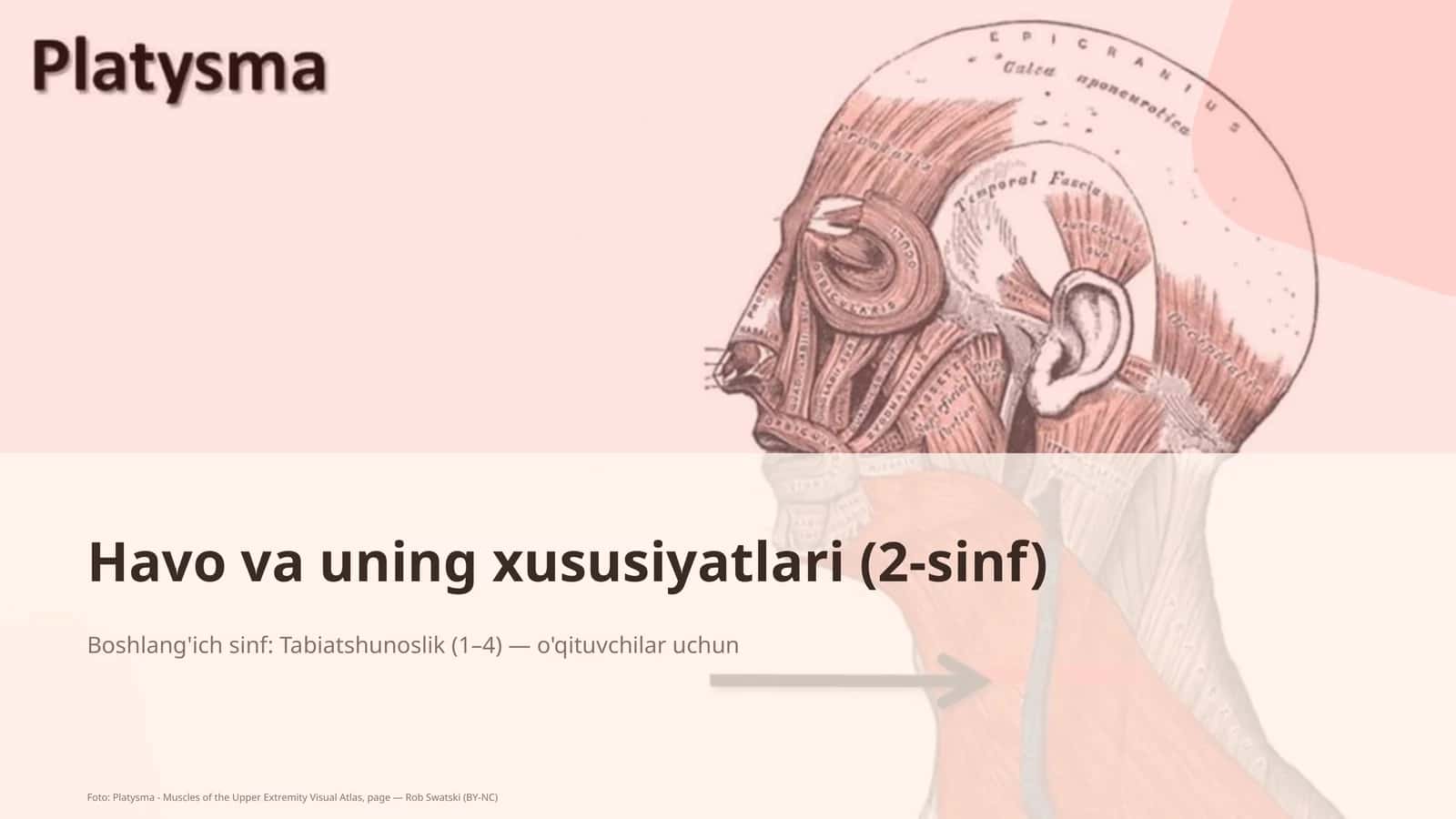Havo va uning xususiyatlari (2-sinf)