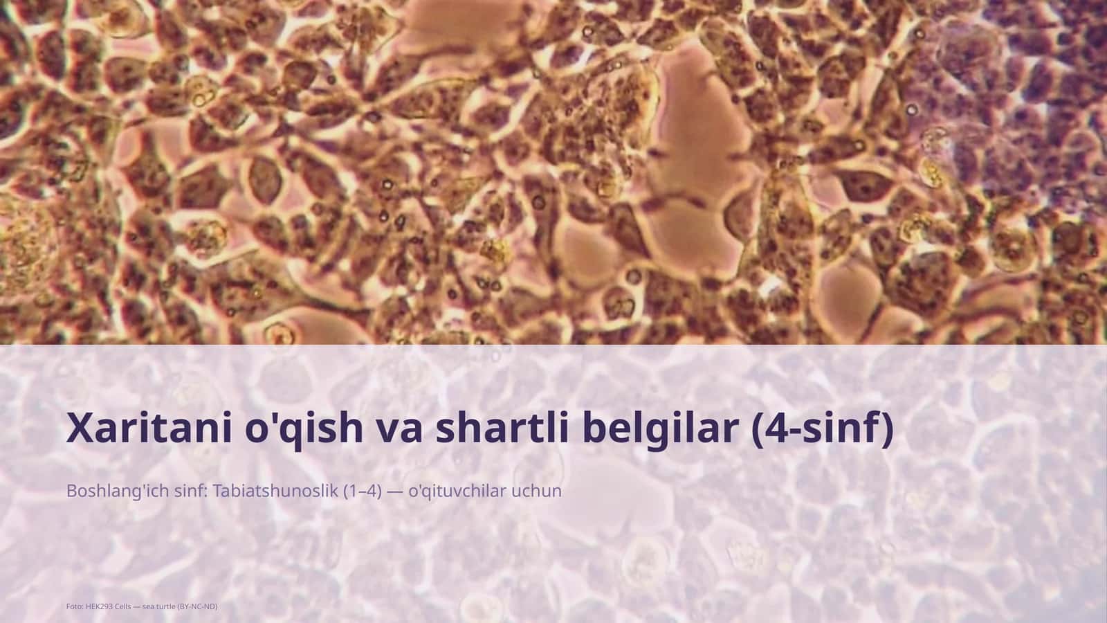 Xaritani o'qish va shartli belgilar (4-sinf)