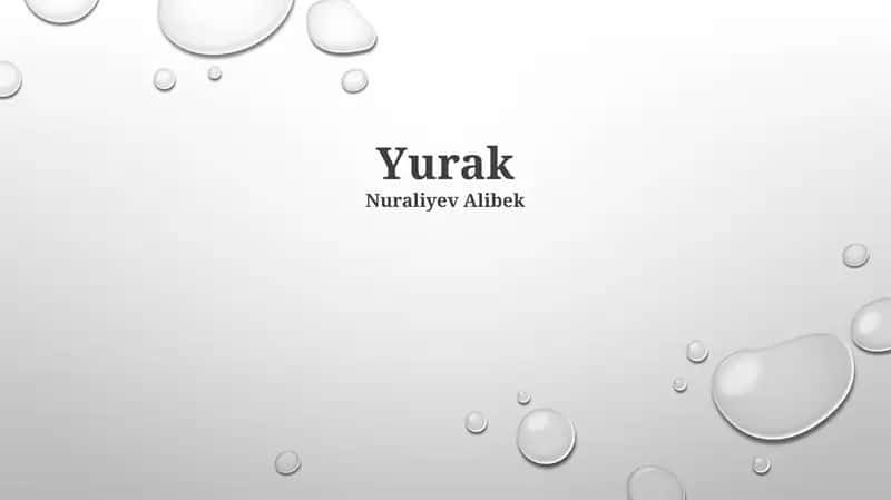 Yurak