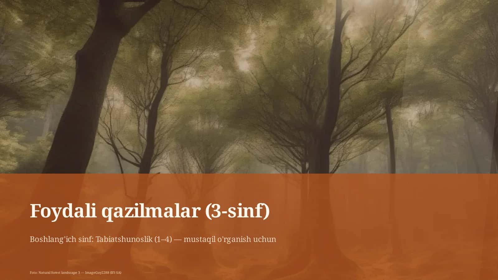 Foydali qazilmalar (3-sinf)