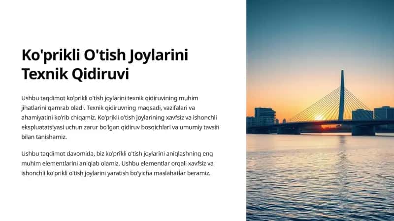 Ko'prikli O'tish Joylarini Texnik Qidiruvi