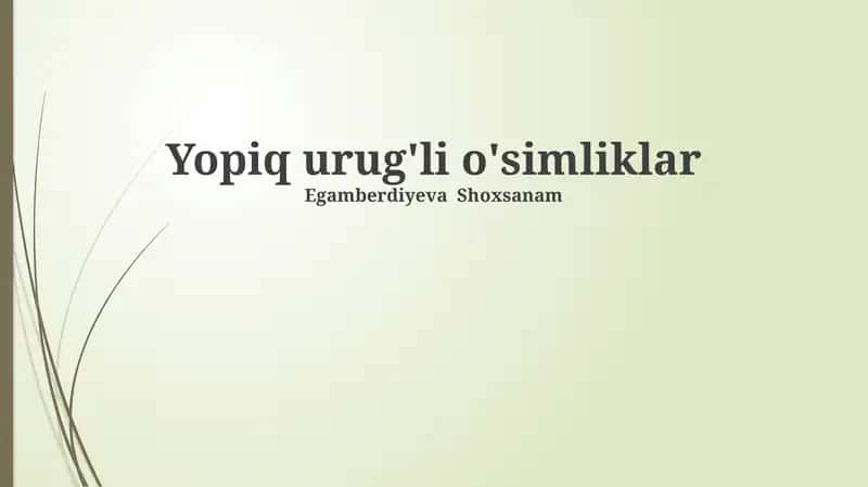 Yopiq urug'li o'simliklar