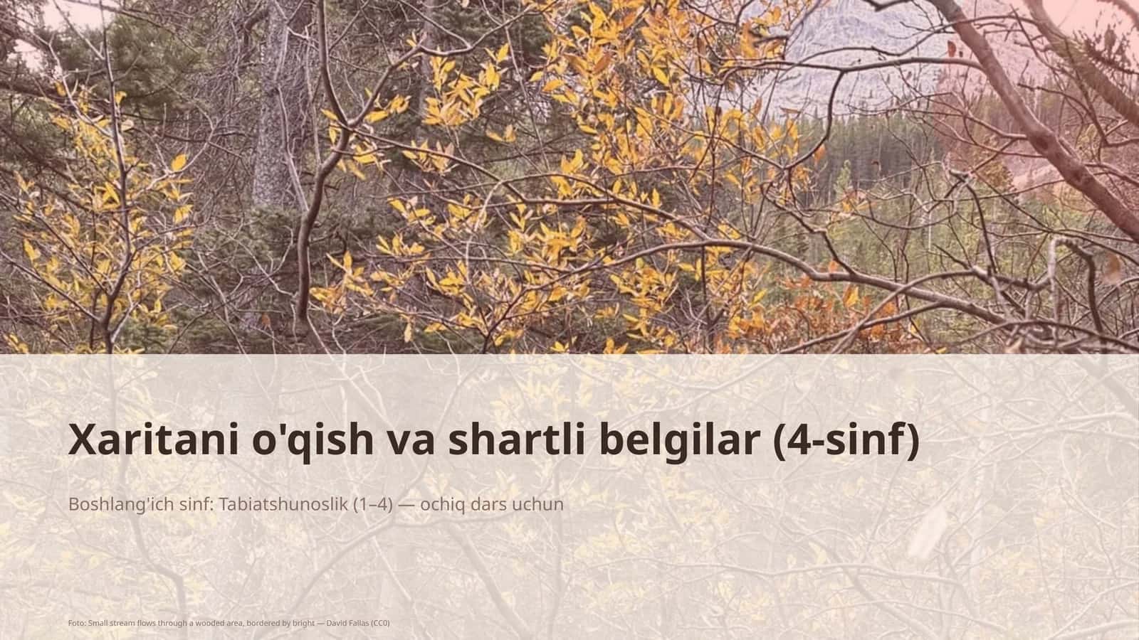 Xaritani o'qish va shartli belgilar (4-sinf)