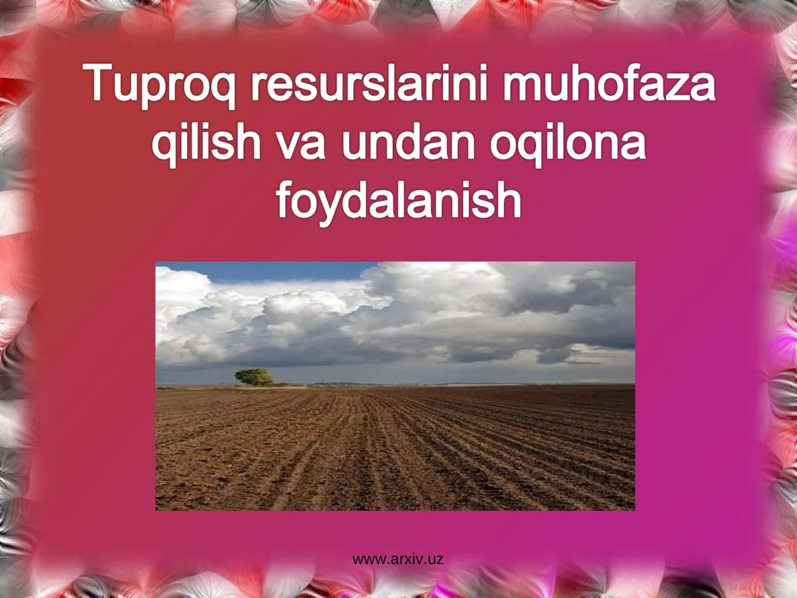 Tuproq haqida umumiy tushuncha