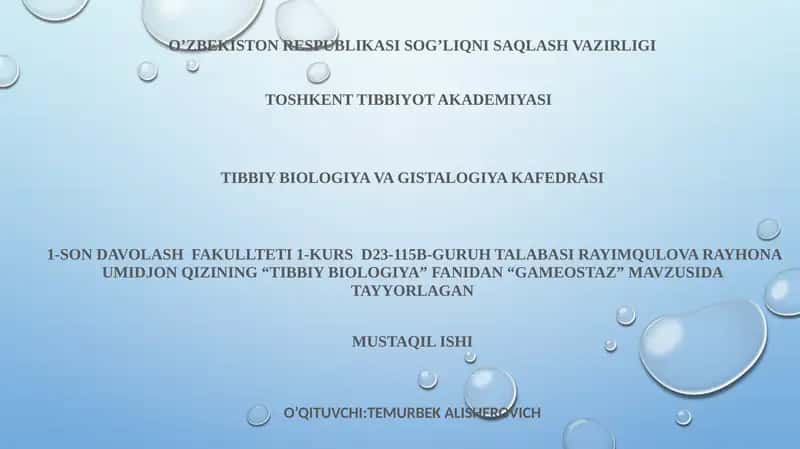 GAMEOSTAZ