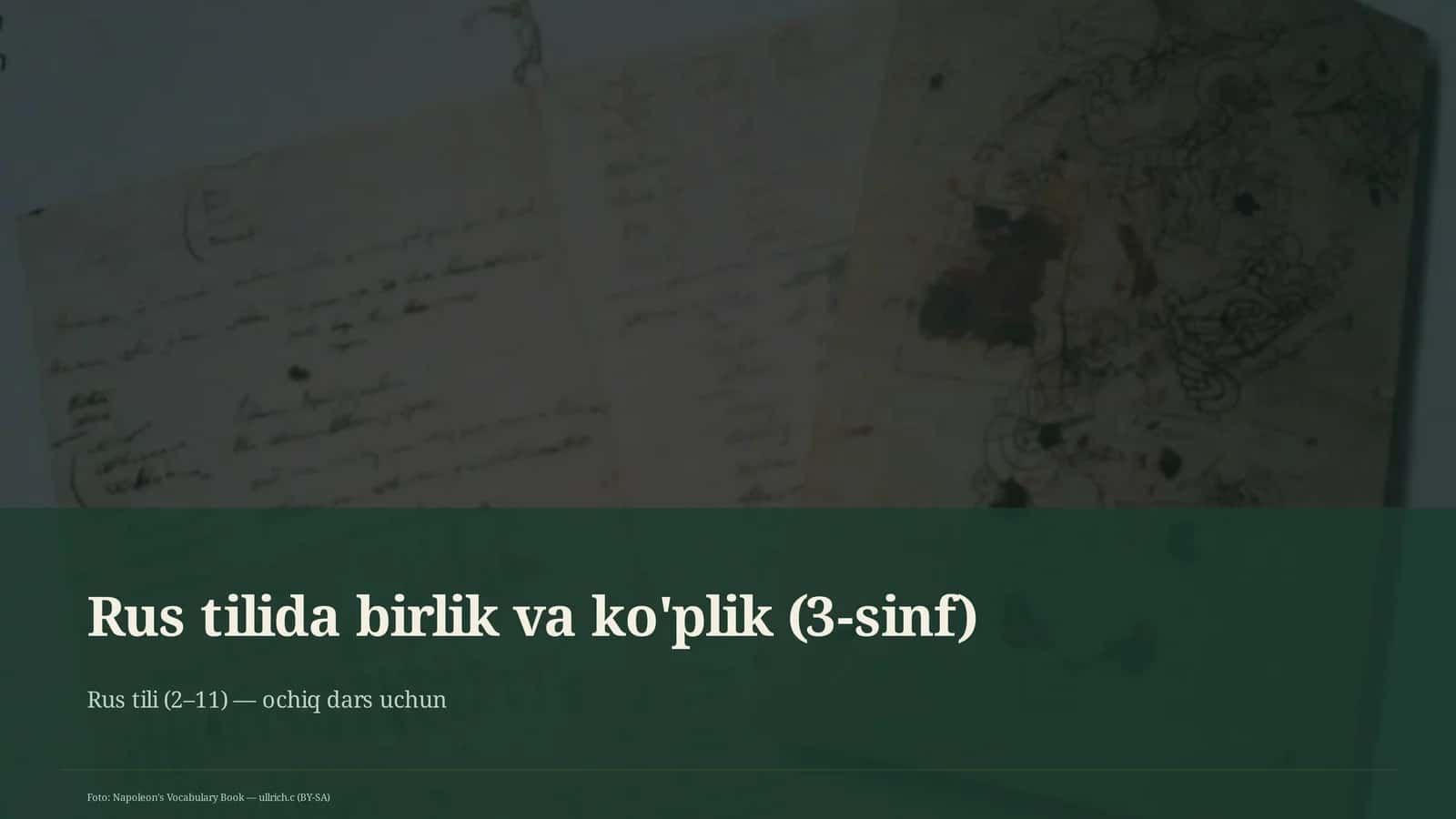 Rus tilida birlik va ko'plik (3-sinf)