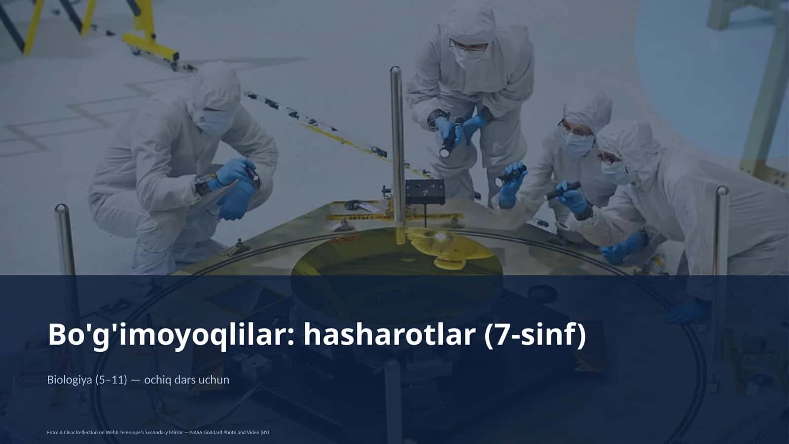 Bo'g'imoyoqlilar: hasharotlar (7-sinf)