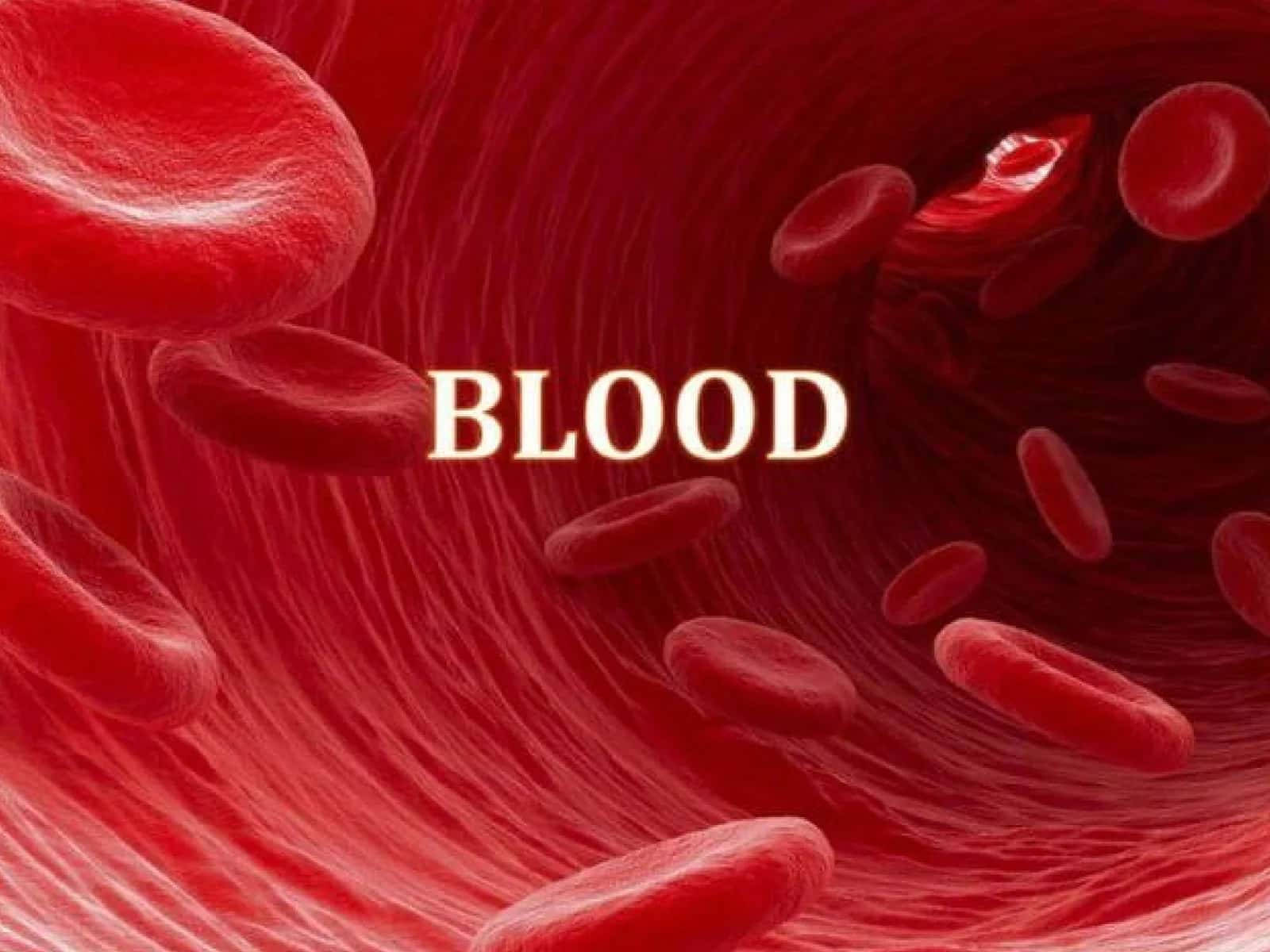 Blood Composition