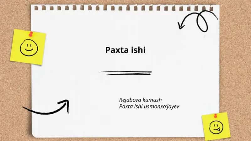 Paxta ishi