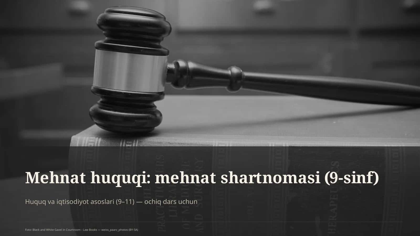 Mehnat huquqi: mehnat shartnomasi (9-sinf)