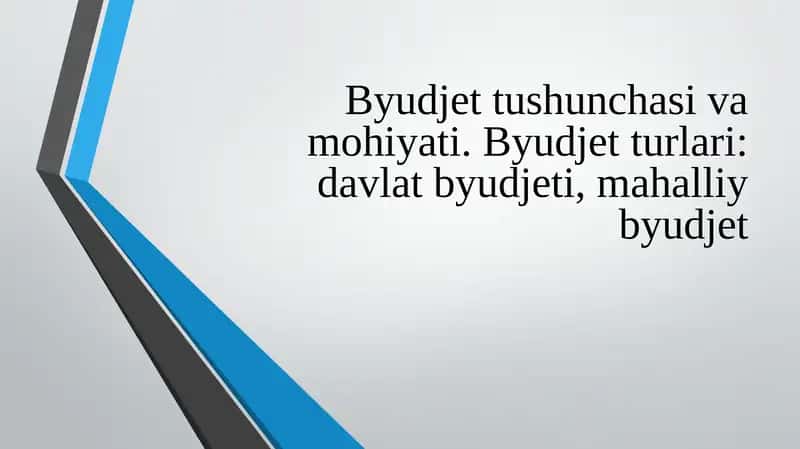 Byudjetushunchasivamohiyati