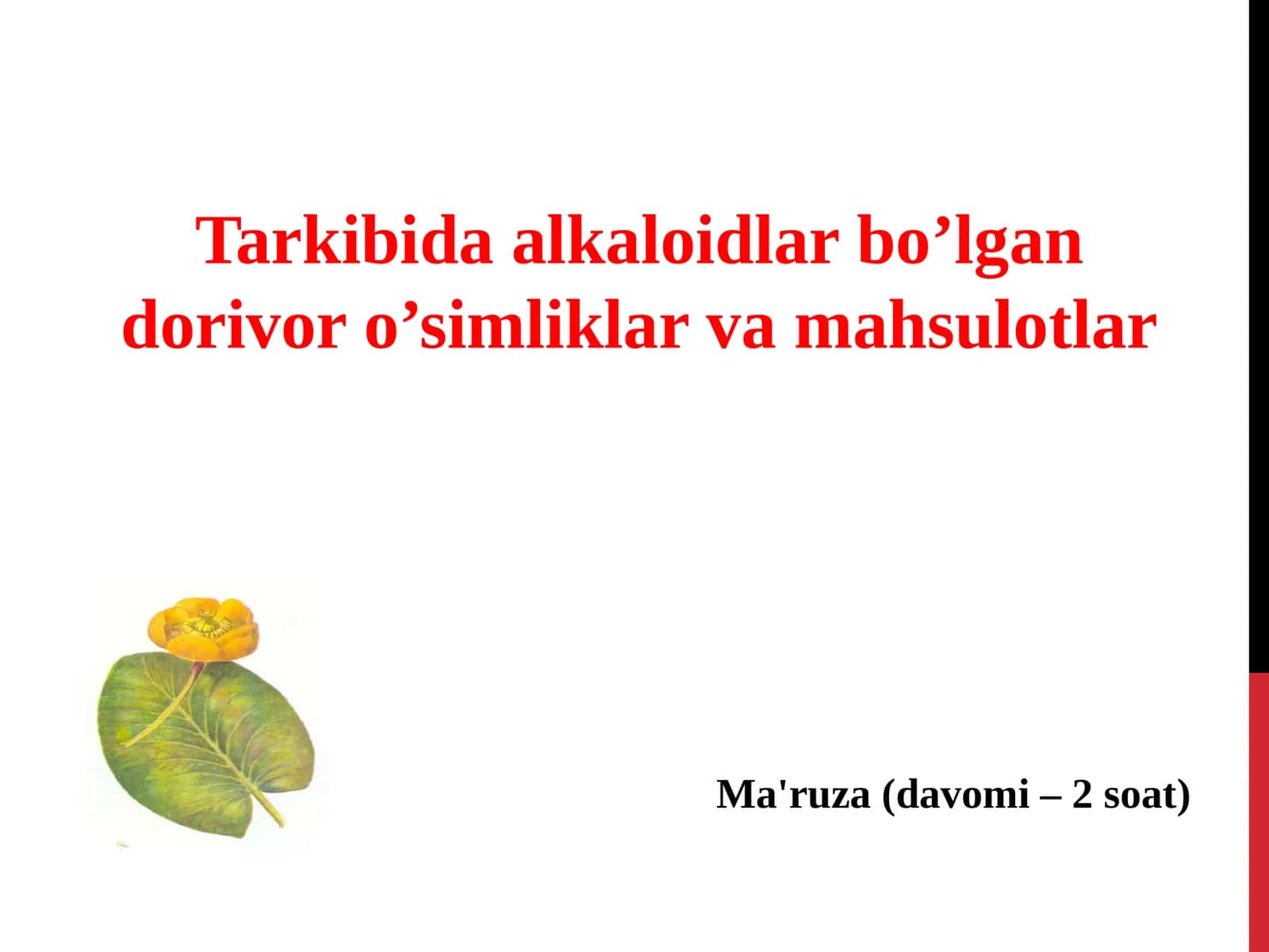 Dorivor o’simliklar