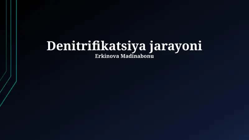 Denitrifikatsiya jarayoni