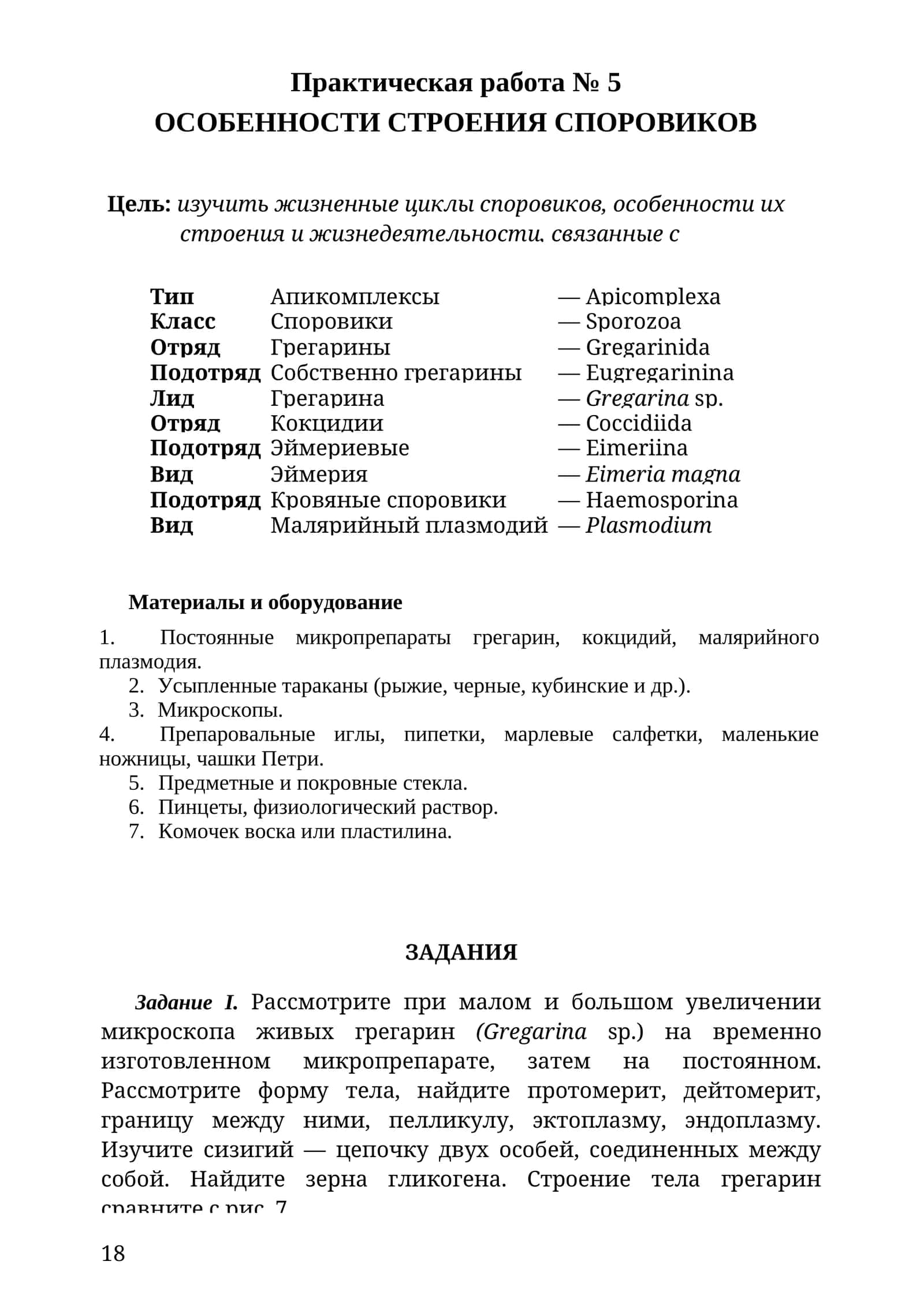 Практическая работа № 5