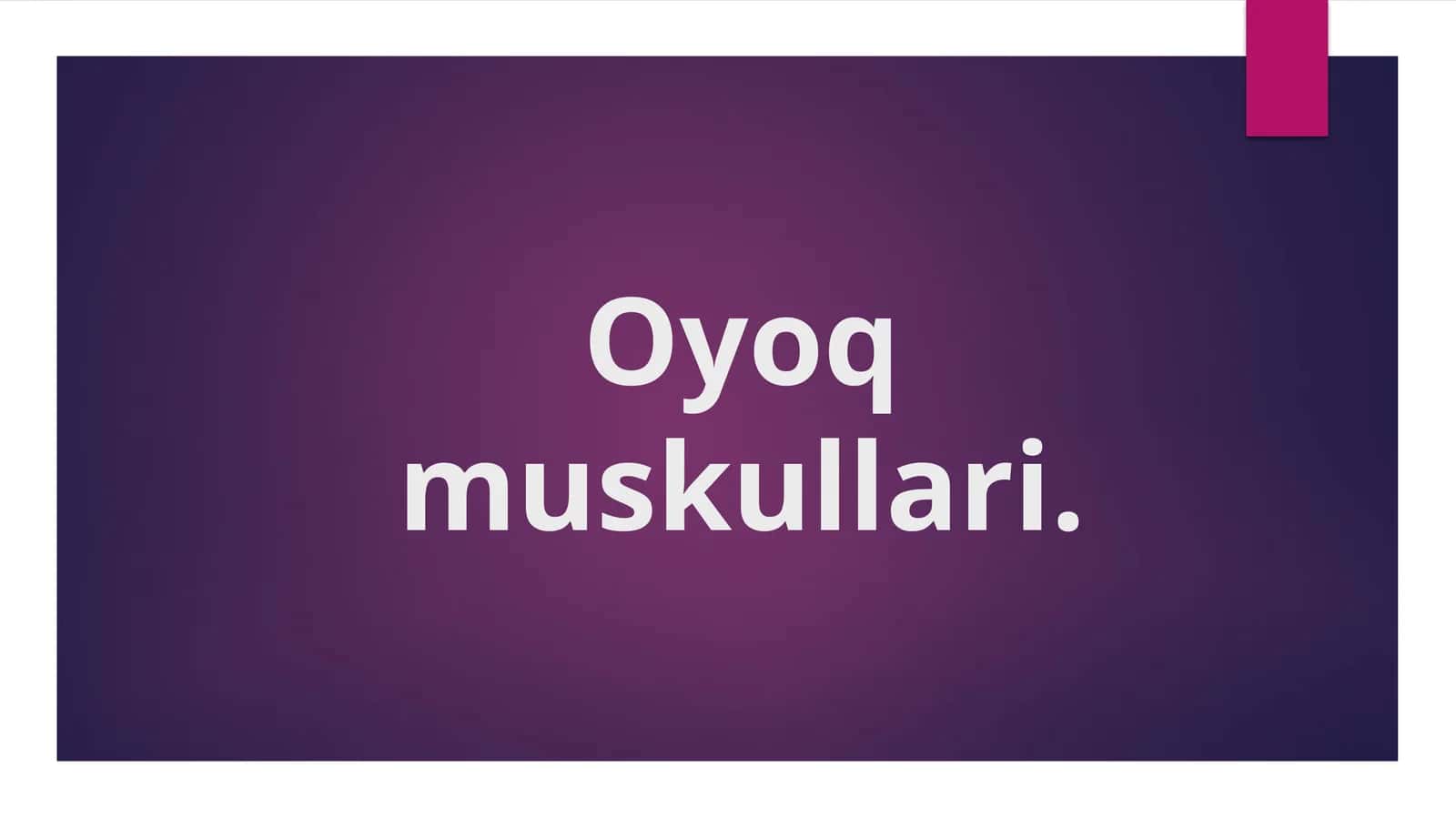 Oyoq muskullari