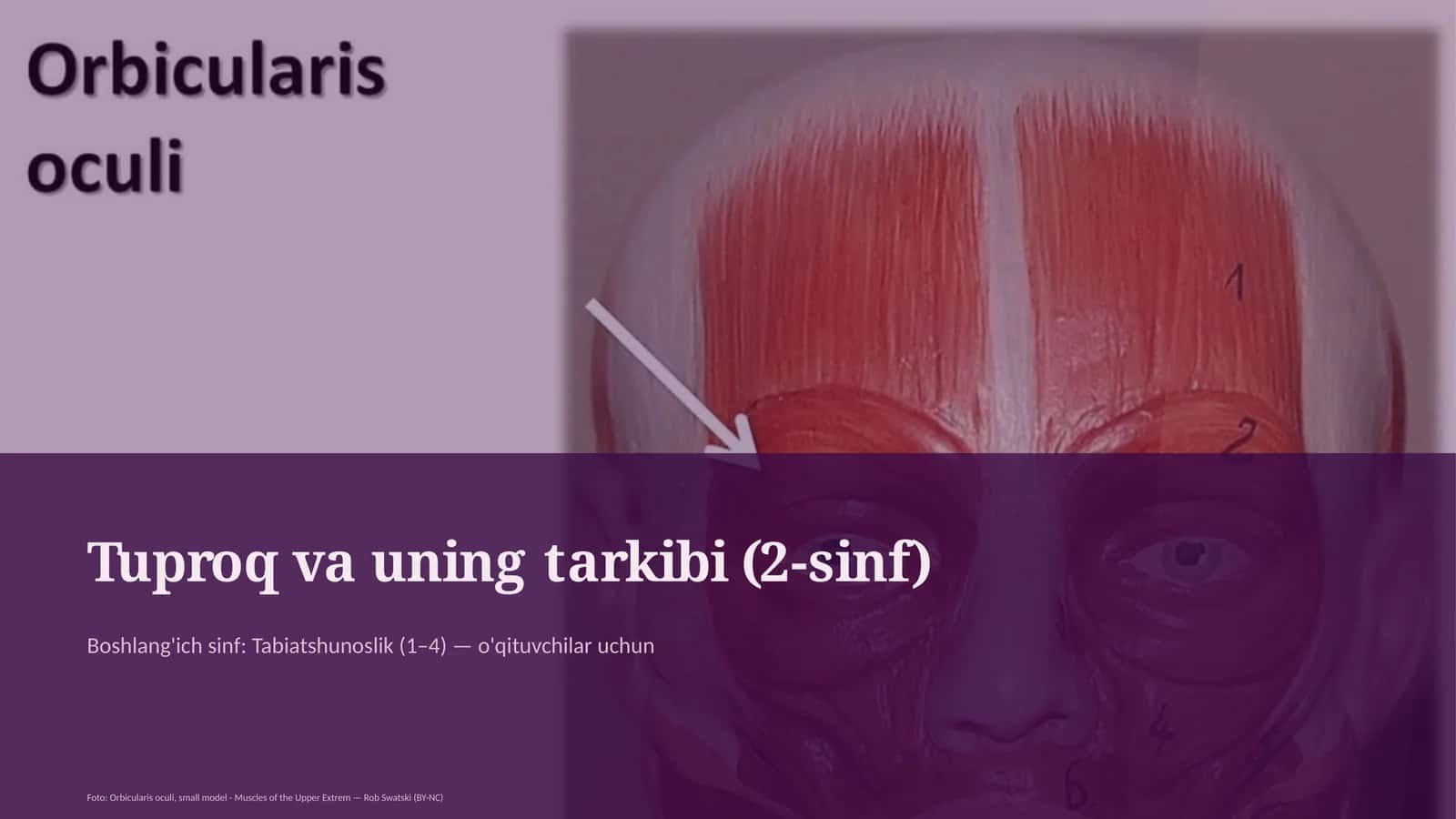 Tuproq va uning tarkibi (2-sinf)