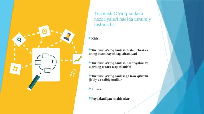 Turmush O’rtoq tanlash nazariyalari haqida umumiy tushuncha