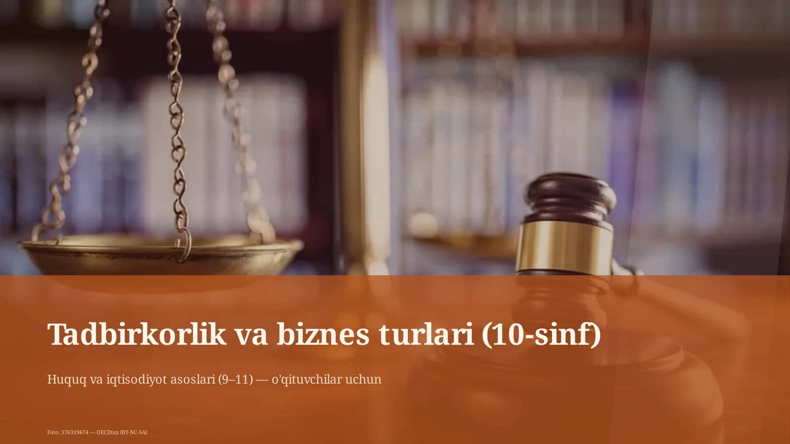 Tadbirkorlik va biznes turlari (10-sinf)