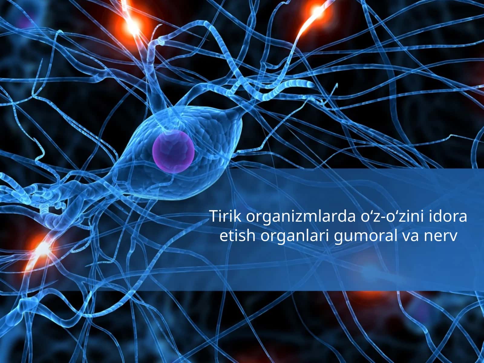 Tirik organizmlar