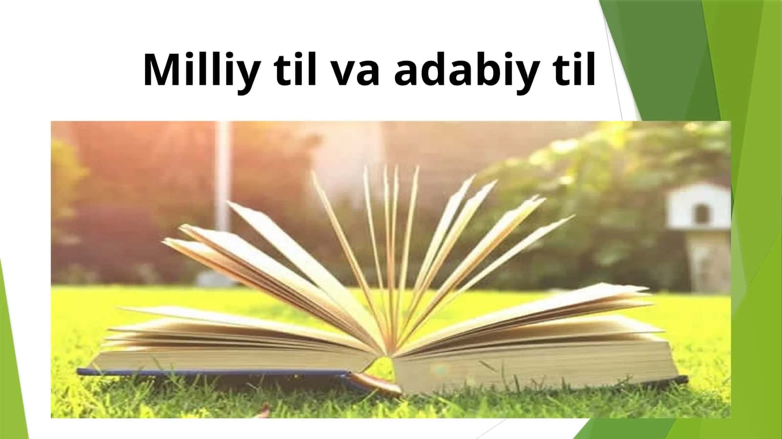 Milliy til va adabiy til