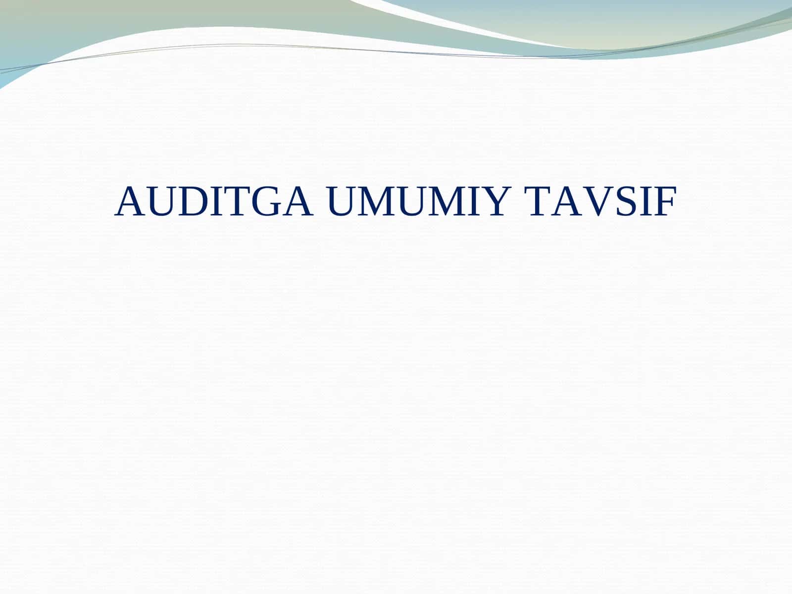 AUDITGA UMUMIY TAVSIF