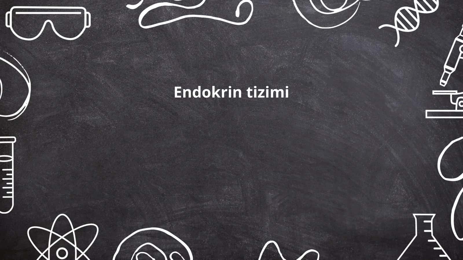 Endokrin tizimi