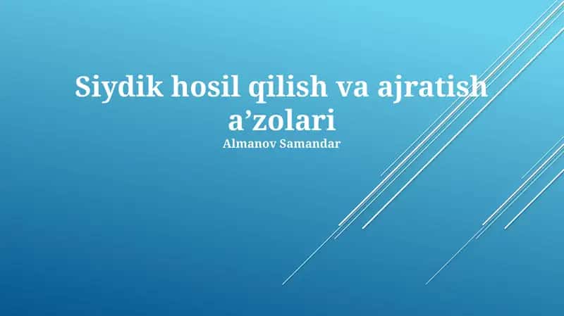 Buyraklar va Siydik Yo'llarining Tuzilishi va Funksiyasi