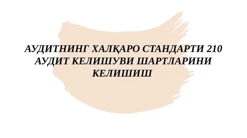 Аудитнинг Халқаро Стандарти210