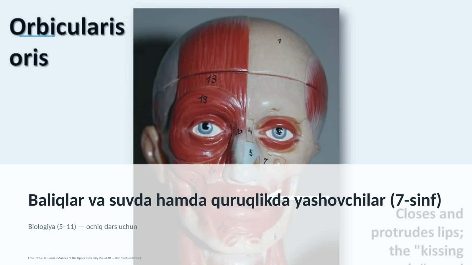 Baliqlar va suvda hamda quruqlikda yashovchilar (7-sinf)