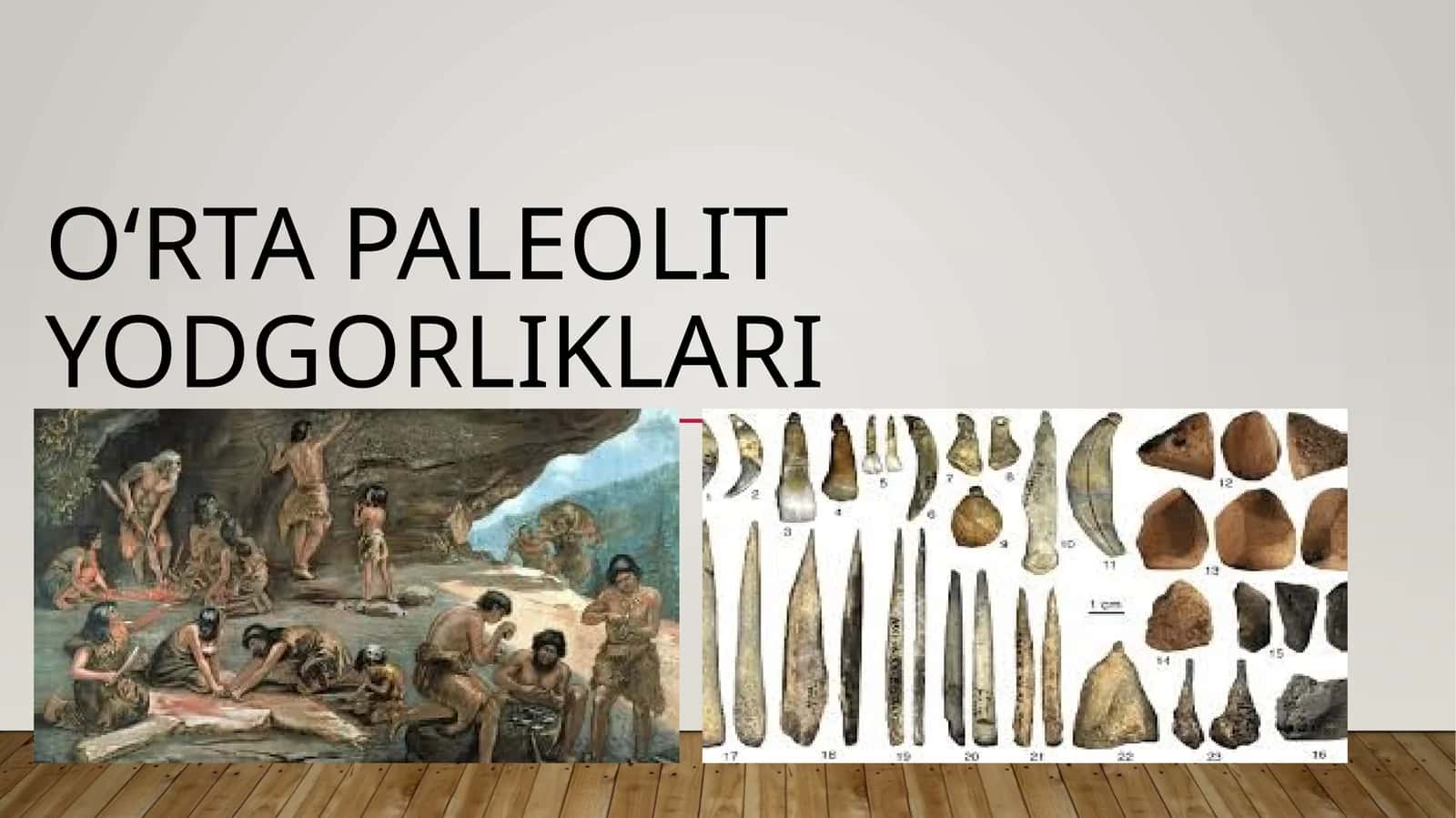 Oʻrta paleolit yodgorliklari