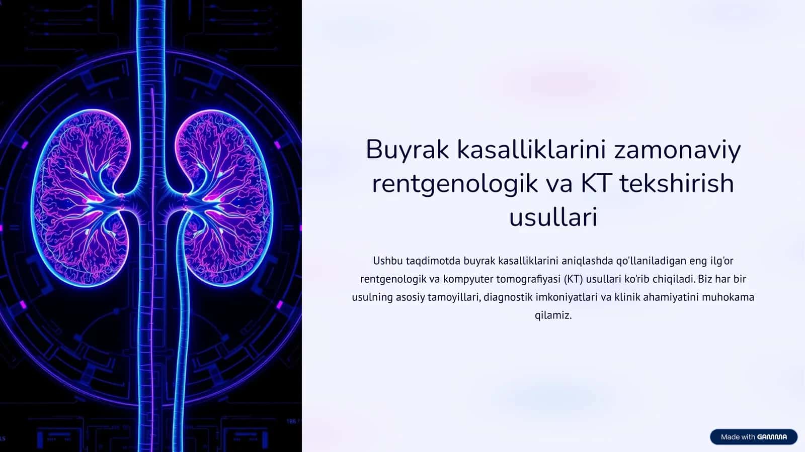 Buyrak kasalliklarini zamonaviy rentgenologik va KT tekshirish usullari