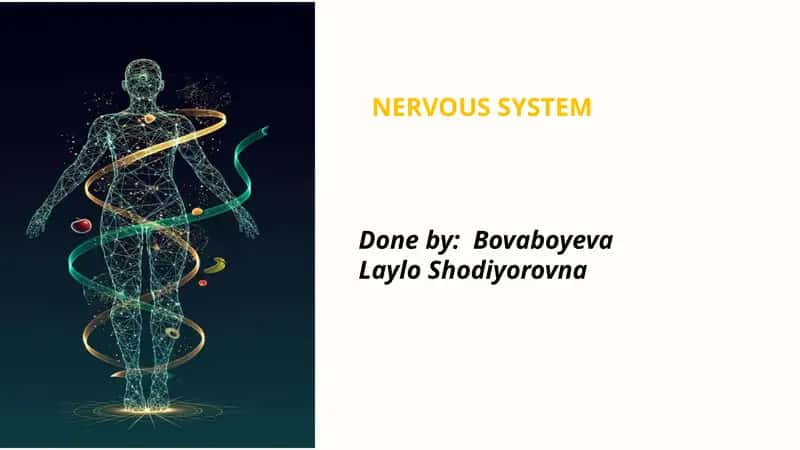 NERVOUS SYSTEM