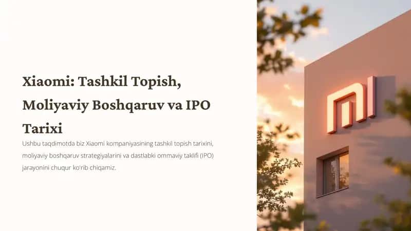 Xiaomi: Tashkil Topish, Moliyaviy Boshqaruv va IPO Tarixi
