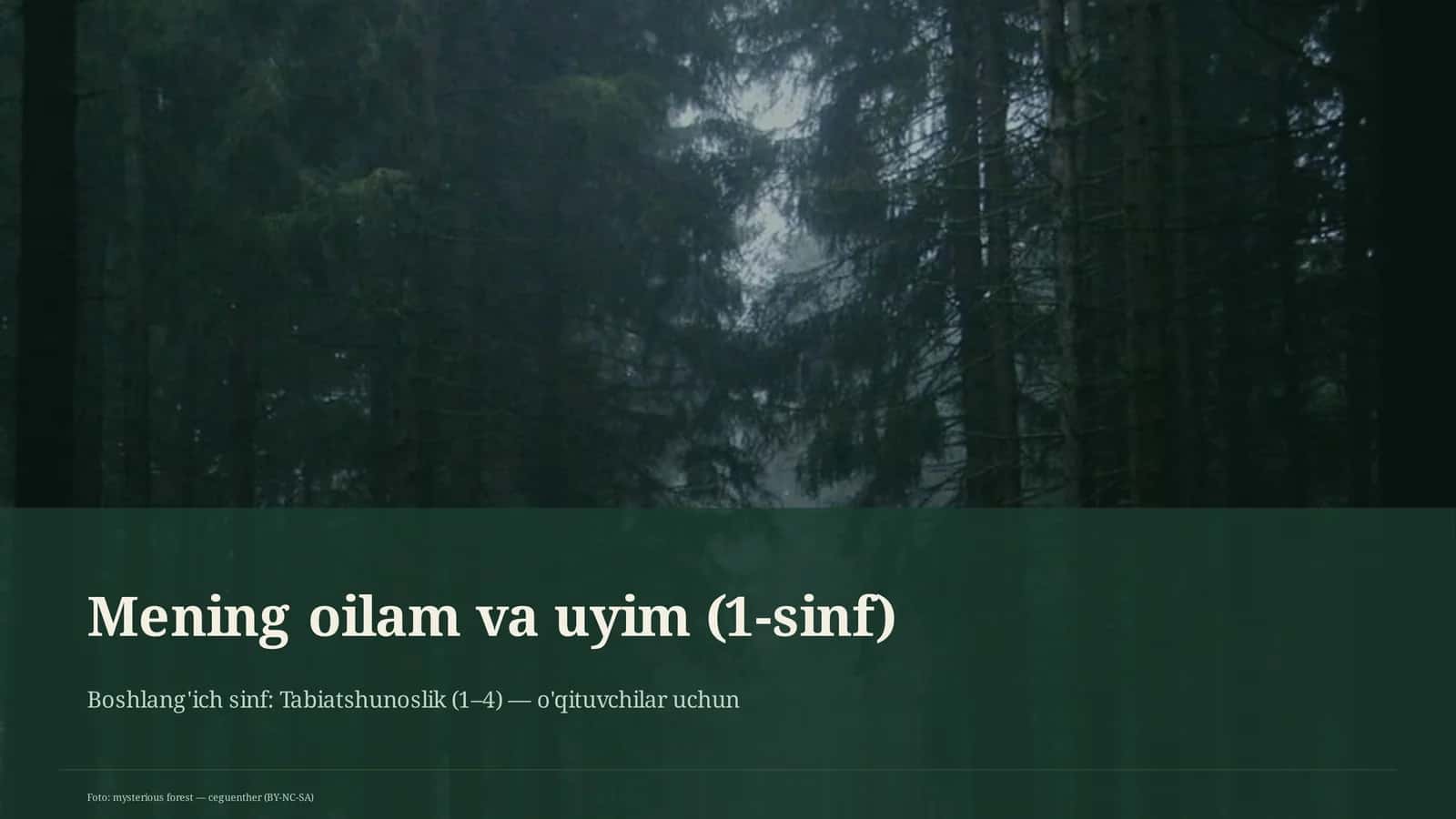 Mening oilam va uyim (1-sinf)