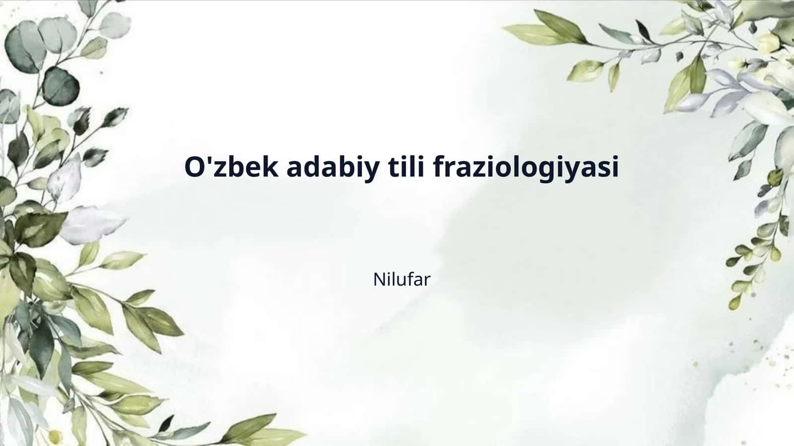O'zbek adabiy tili fraziologiyasi