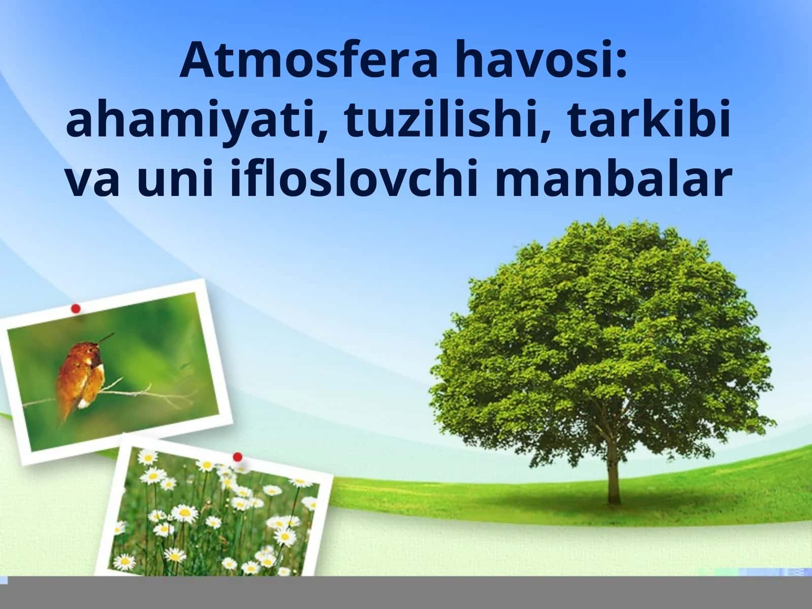 Atmosfera havosi ahamiyati, tuzilishi, tarkibi va uni ifloslovchi manbalar