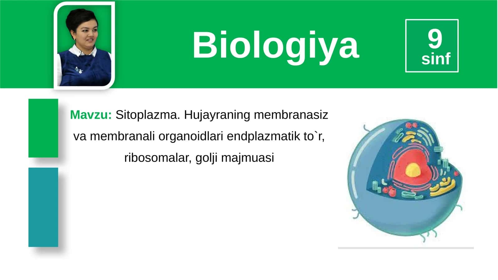 Sitoplazma. Hujayraning membranasiz va membranali organoidlari endplazmatik to`r,ribosomalar, golji majmuasi