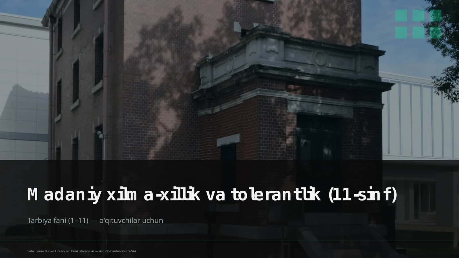 Madaniy xilma-xillik va tolerantlik (11-sinf)