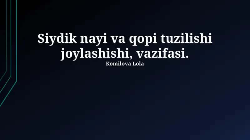 Siydik yo'lining qon ta'minoti va nervlar