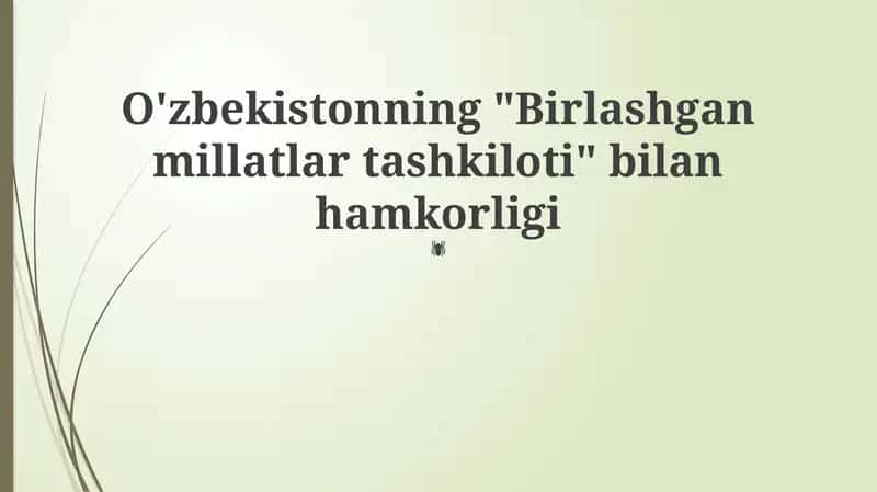 O'zbekiston va BMT: Hamkorlik Tarixi va Asosiy Yo'nalishlar