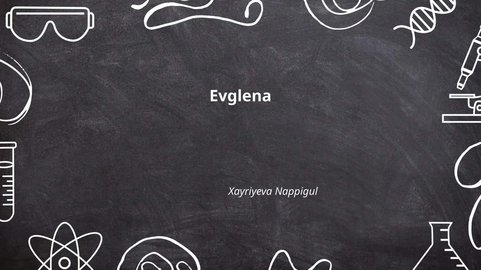 Euglena