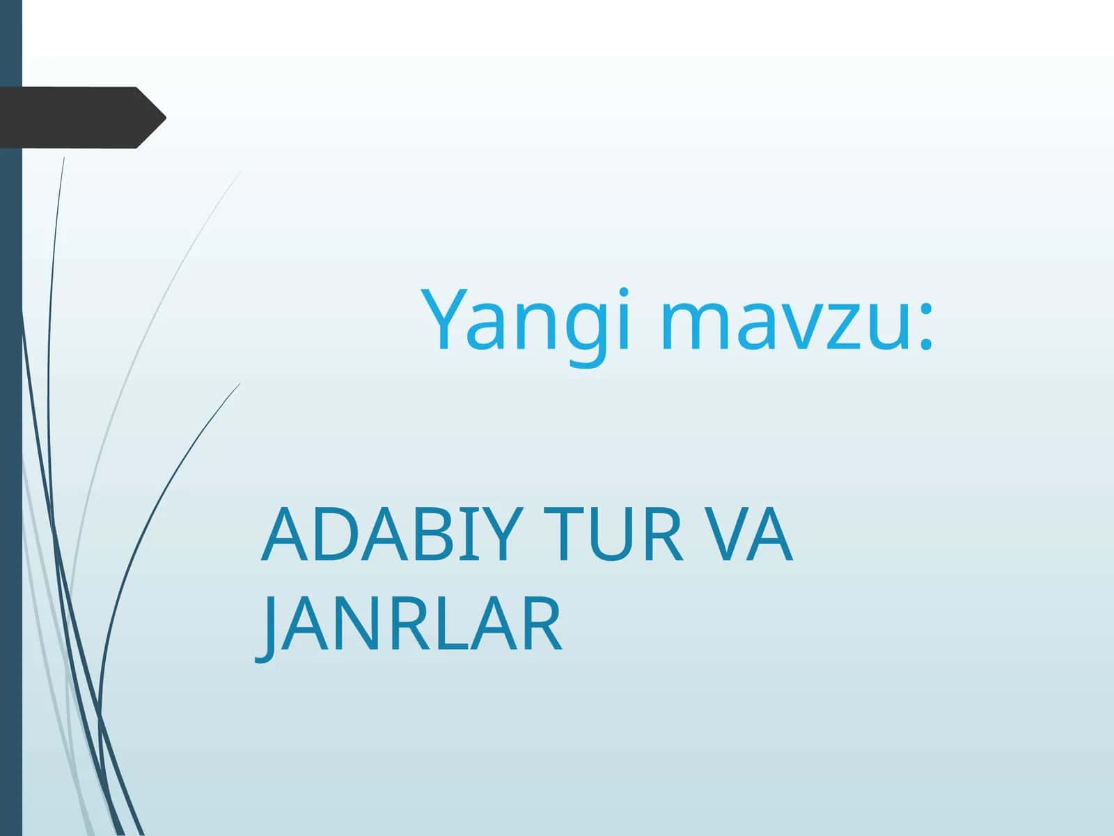 ADABIY TUR VA JANRLAR