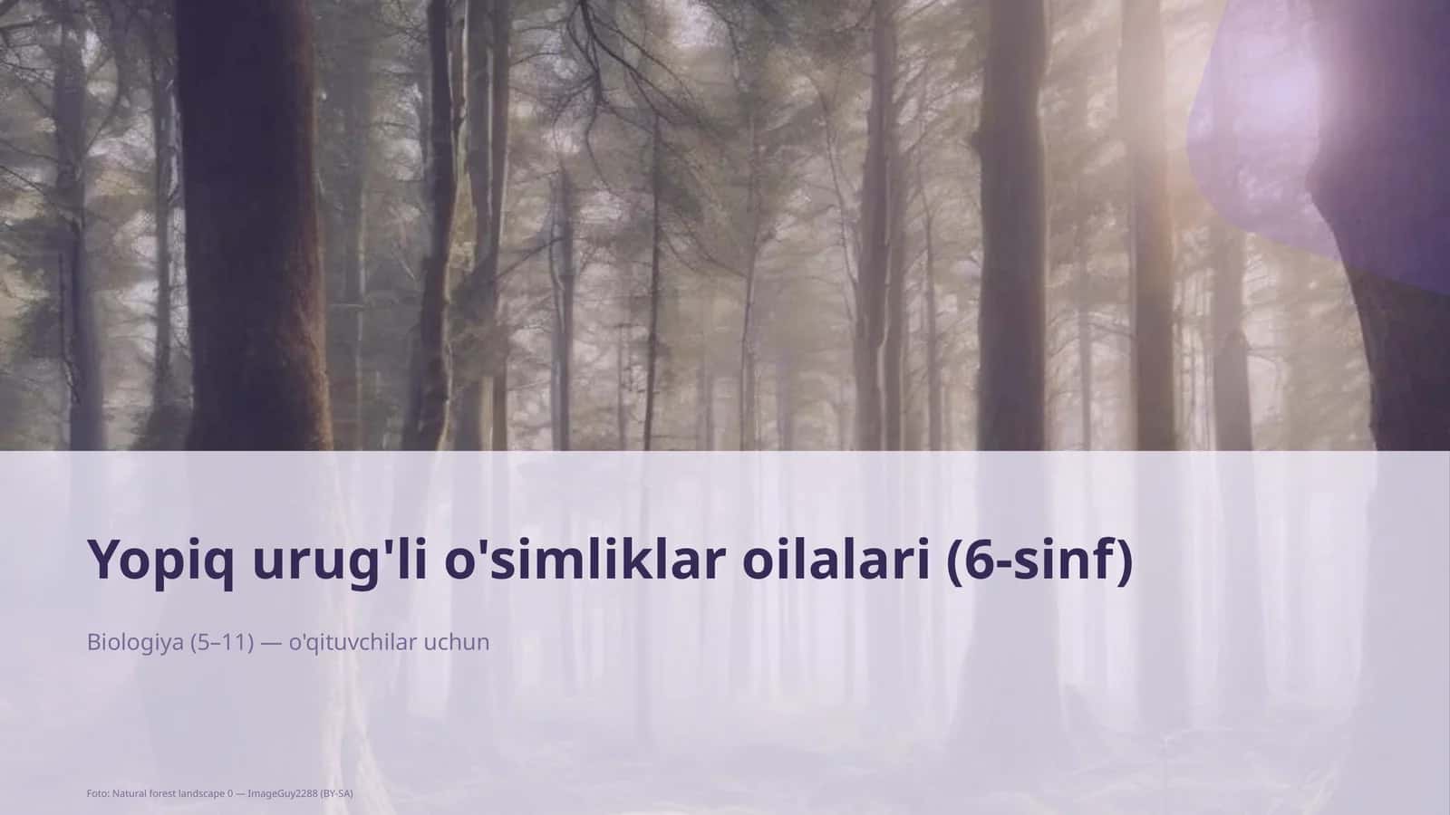 Yopiq urug'li o'simliklar oilalari (6-sinf)