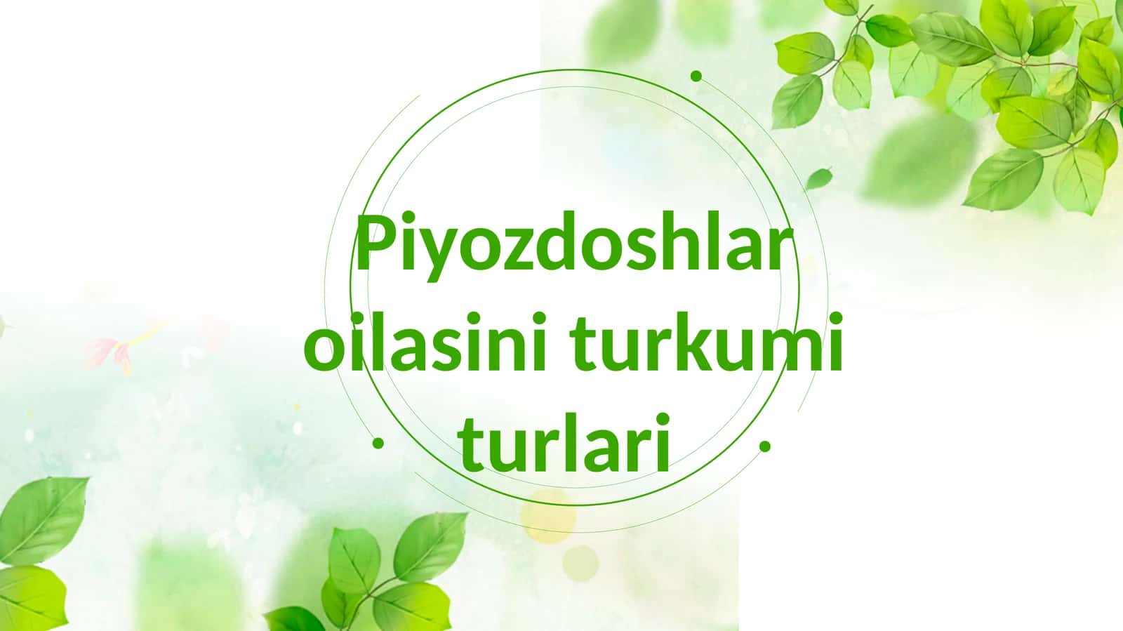 Piyozdoshlar oilasi turkum turlari