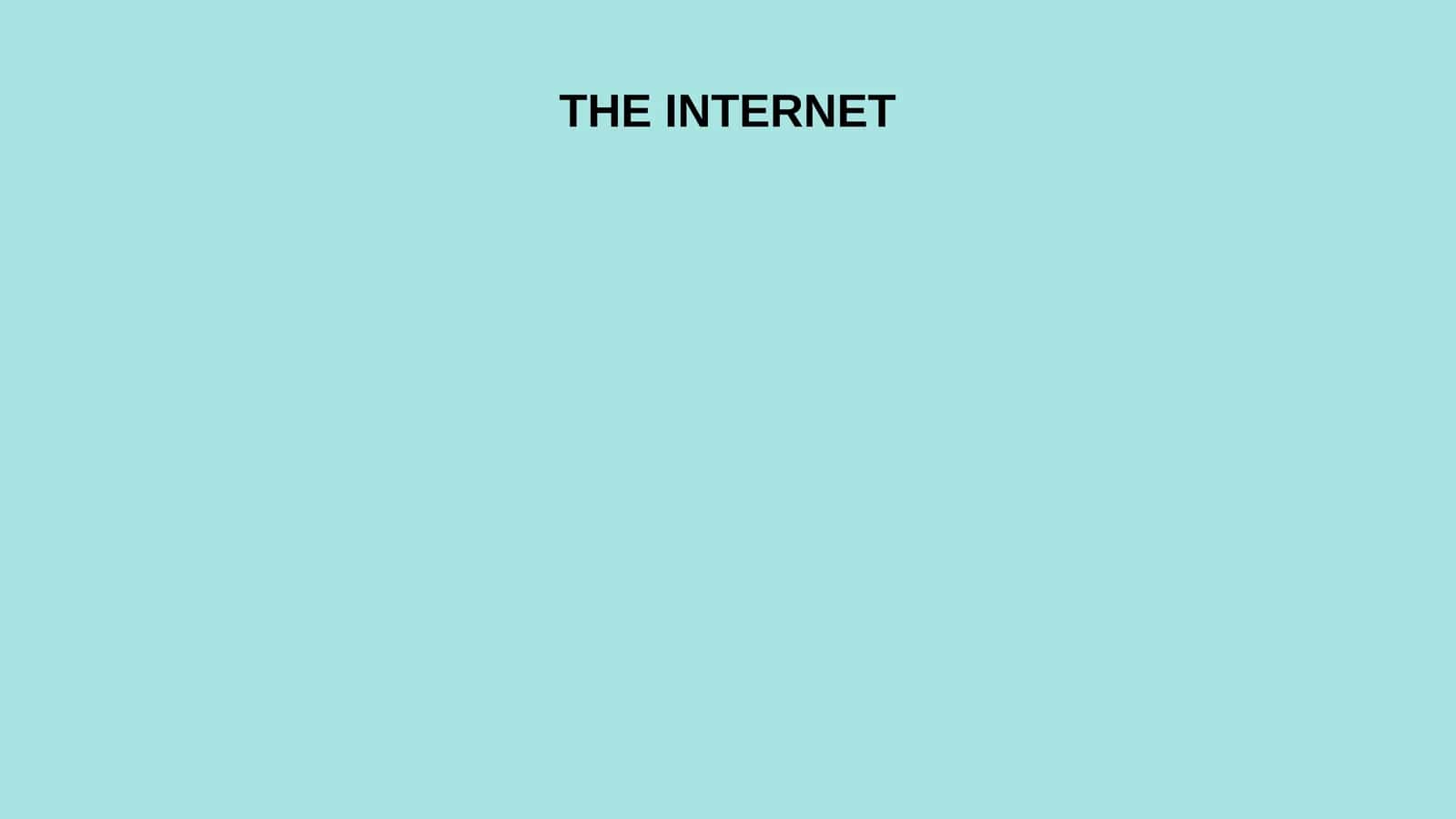 THE INTERNET