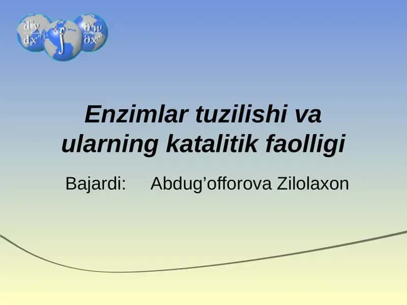 Enzimlar tuzilishi va ularning katalitik faolligi