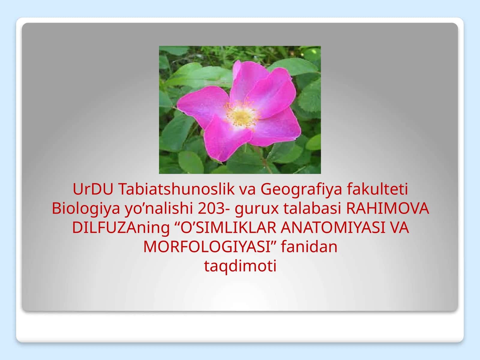 O’SIMLIKLAR ANATOMIYASI VA MORFOLOGIYASI